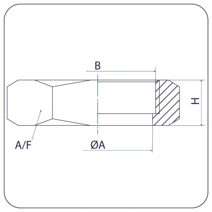 Stainless Steel IDF Hexagon Nut,304 BS4825 PT4