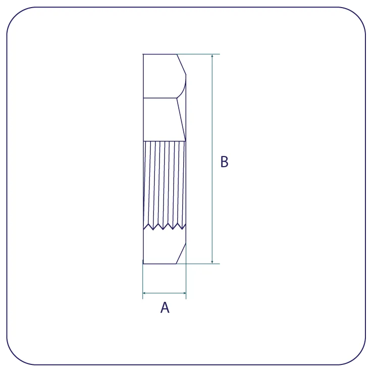 Locknuts BSPP 316 EN10241
