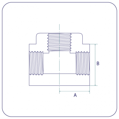 Equal Tees BSPP 316 EN10241 - Concept Stainless