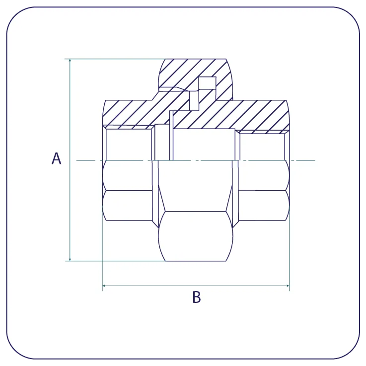 Unions Flat Face C/W PTFE Seal BSPP 316 EN10241